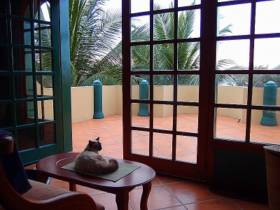 Large beachfront home or B&B for sale in Ecuador